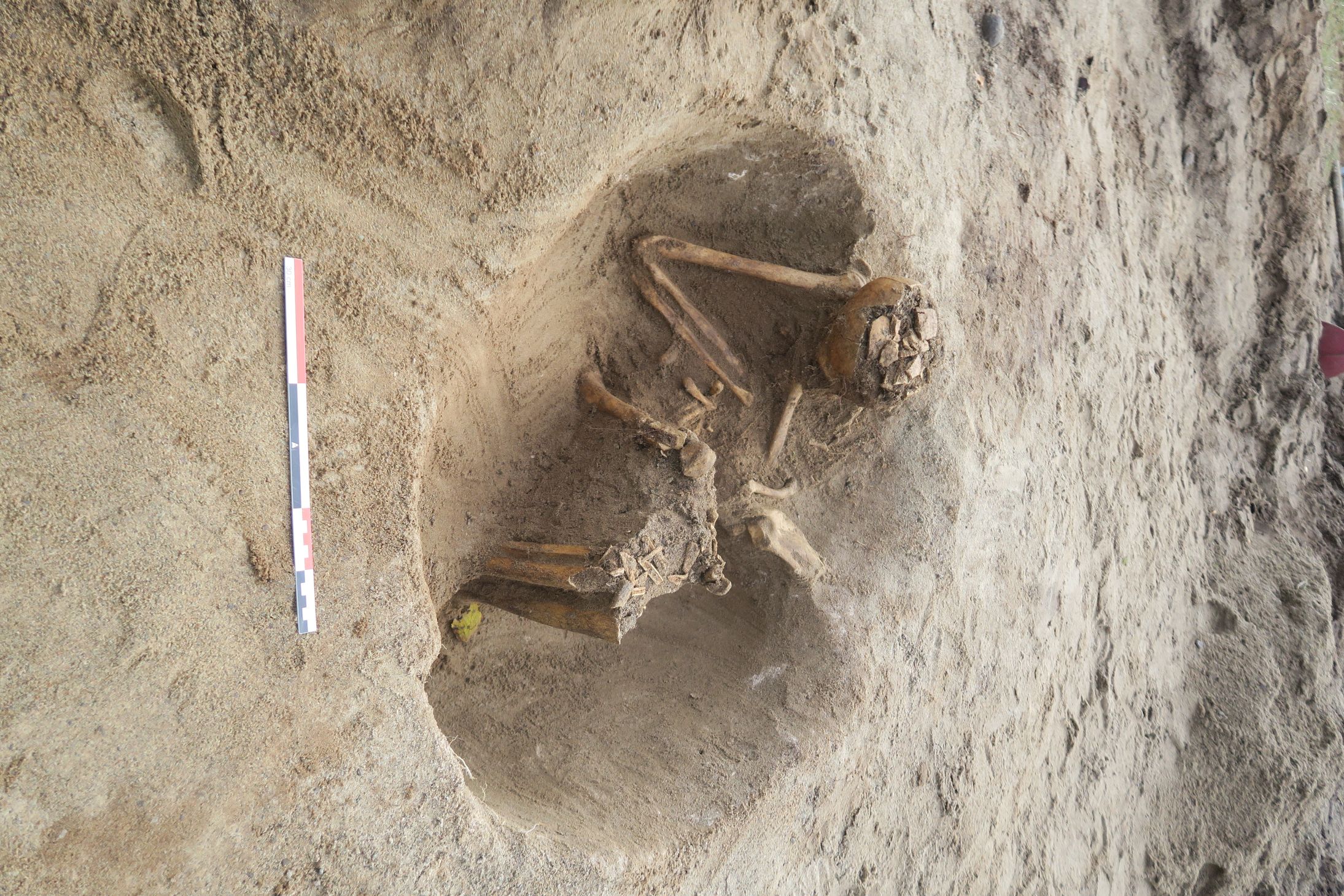 The skeleton of the seated individual as exposed in situ during excavation