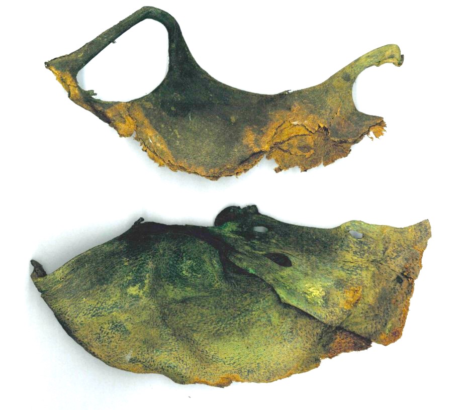 The hide fragments from the shoe